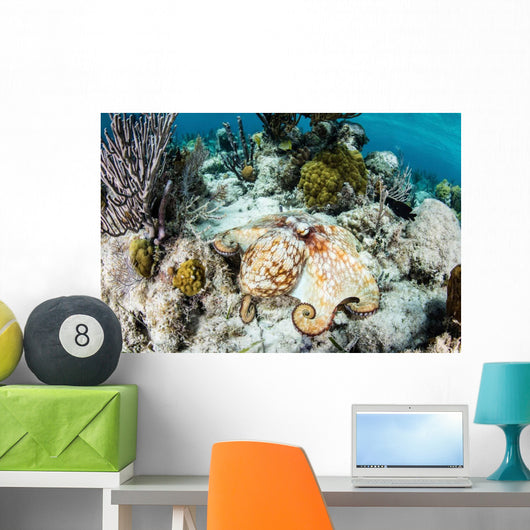 Caribbean Reef Octopus Seafloor Wall Decal Design 2