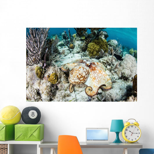 Caribbean Reef Octopus Seafloor Wall Decal Design 2