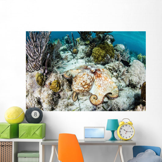 Caribbean Reef Octopus Seafloor Wall Decal Design 2