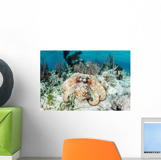 Caribbean Reef Octopus Seafloor Wall Decal Design 1