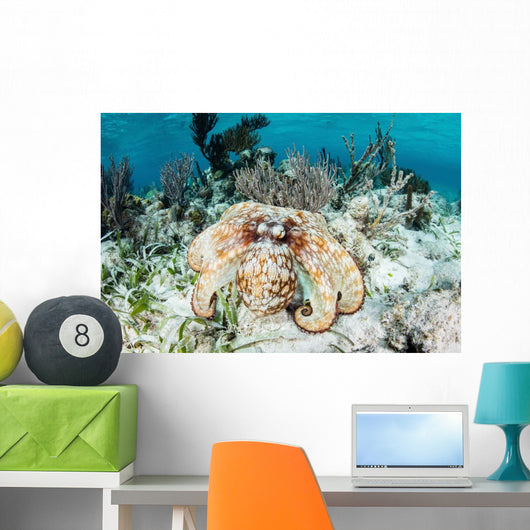 Caribbean Reef Octopus Seafloor Wall Decal Design 1