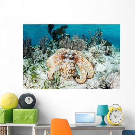 Caribbean Reef Octopus Seafloor Wall Decal Design 1