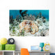 Caribbean Reef Octopus Seafloor Wall Decal Design 1