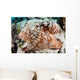 Close-up Caribbean Reef Octopus Wall Decal