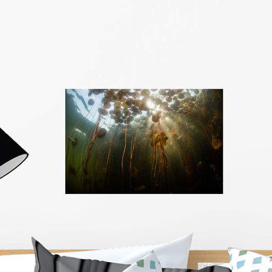 Sunlight Shines down Lily Wall Decal Design 7