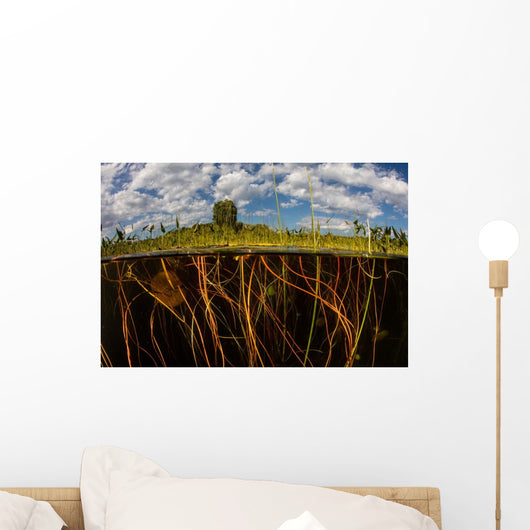 Lily Pads Grow along Wall Decal Design 3