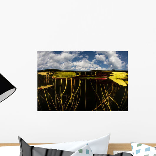 Lily Pads Grow along Wall Decal Design 2