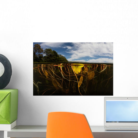 Lily Pads Grow along Wall Decal Design 1