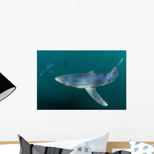 Sleek Blue Shark Swimming Wall Decal Design 17