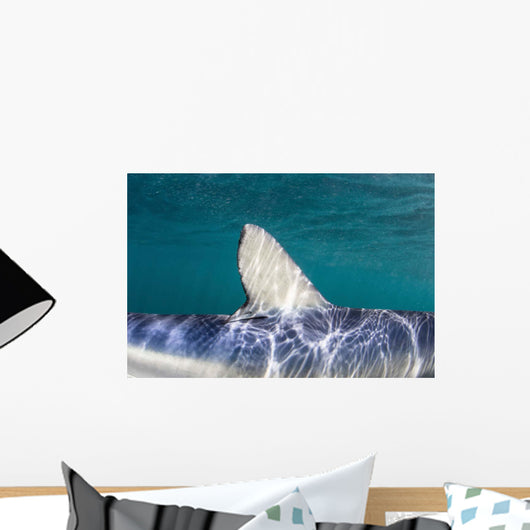 Close-up Dorsal Fin Blue Wall Decal Design 1