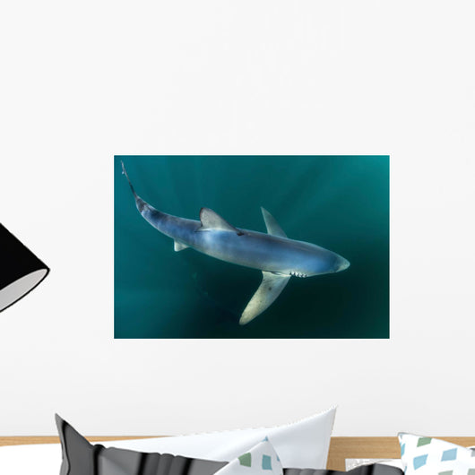 Sleek Blue Shark Swimming Wall Decal Design 15