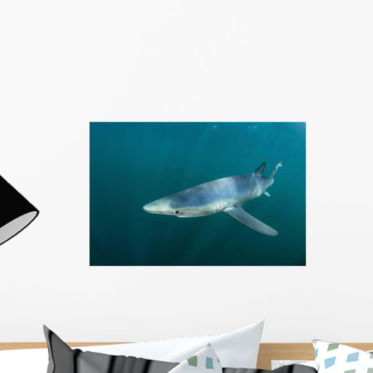 Sleek Blue Shark Swimming Wall Decal Design 14