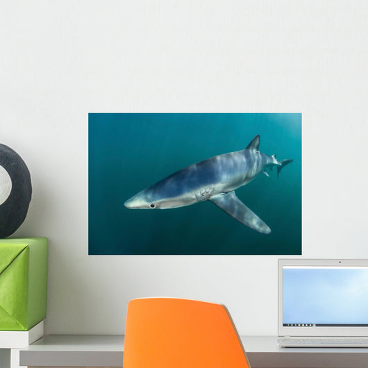 Sleek Blue Shark Swimming Wall Decal Design 12