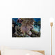 Crown-of-thorns Sea Star Feeds Wall Decal Design 3