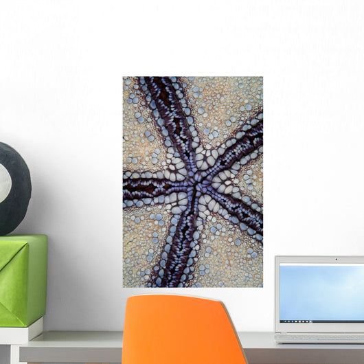 Detail Pin Cushion Sea Wall Decal