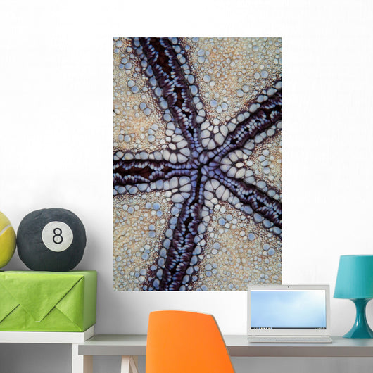 Detail Pin Cushion Sea Wall Decal
