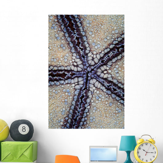 Detail Pin Cushion Sea Wall Decal