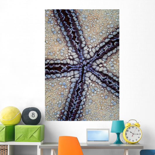 Detail Pin Cushion Sea Wall Decal