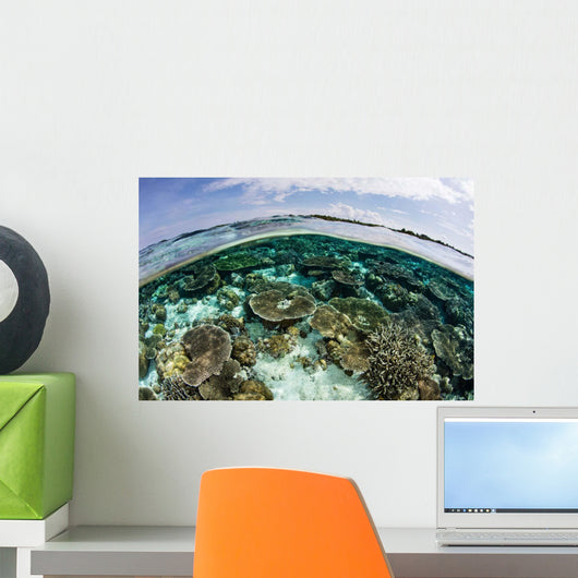 Shallow Coral Reef Thrives Wall Decal Design 12