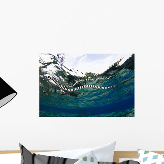 Banded Sea Snake Laticauda Wall Decal Design 2