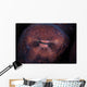 Detail Eye Octopus  Wall Decal Design 1