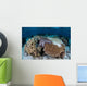 Crown-of-thorns Sea Star Feeds Wall Decal Design 1