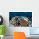 Crown-of-thorns Sea Star Feeds Wall Decal Design 1