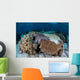 Crown-of-thorns Sea Star Feeds Wall Decal Design 1