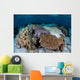 Crown-of-thorns Sea Star Feeds Wall Decal Design 1