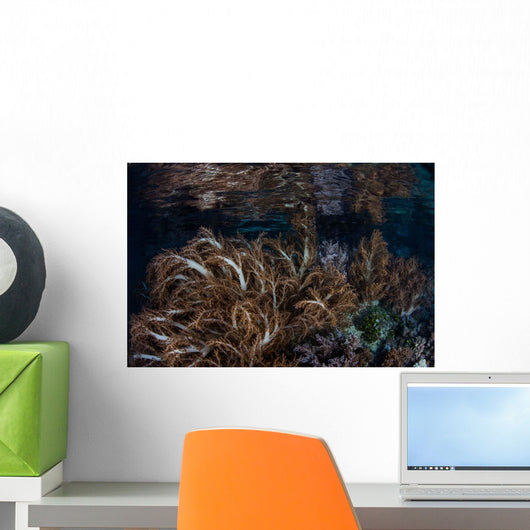 Soft Corals Grow Raja Wall Decal