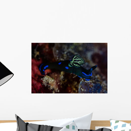 Gloomy Nudibranch Tambja Morosa Wall Decal
