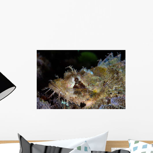 Papuan Scorpionfish Lies Reef Wall Decal Design 2
