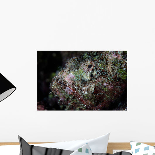 Well-camouflaged Devil Scorpionfish Wall Decal Design 2