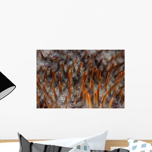Detail Sharp Spines Covering Wall Decal