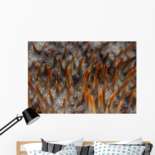 Detail Sharp Spines Covering Wall Decal