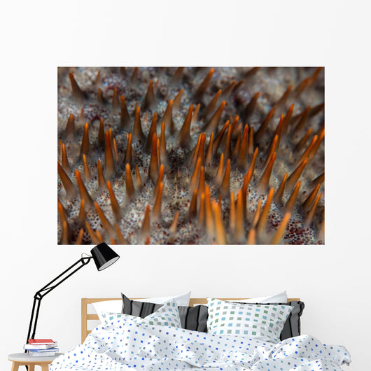 Detail Sharp Spines Covering Wall Decal