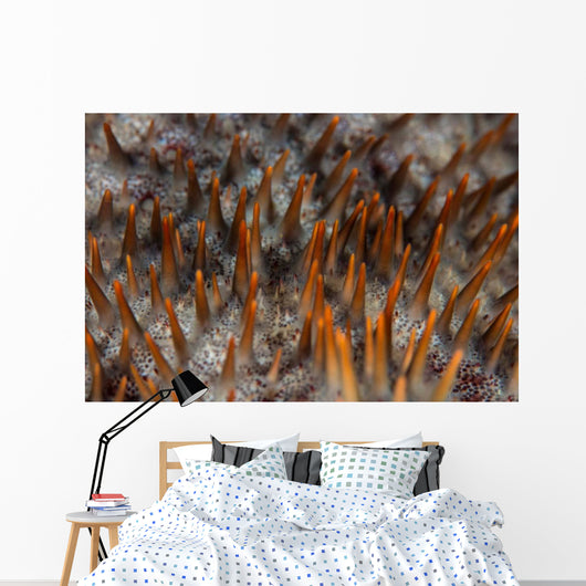 Detail Sharp Spines Covering Wall Decal
