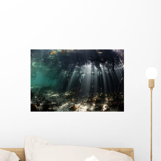 Sunlight Shines into Blue Wall Decal Design 5