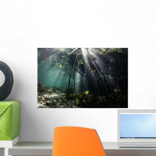 Sunlight Shines into Blue Wall Decal Design 4