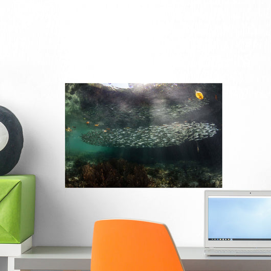 School Silversides Swims Mangrove Wall Decal