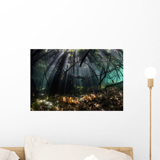Sunlight Shines into Blue Wall Decal Design 3