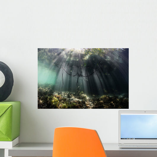 Sunlight Shines into Blue Wall Decal Design 2
