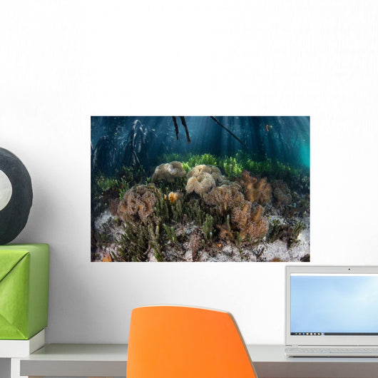 Soft Corals Grow Edge Wall Decal
