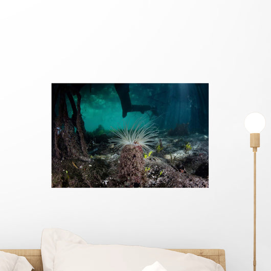 Tube Anemone Grows Blue Wall Decal