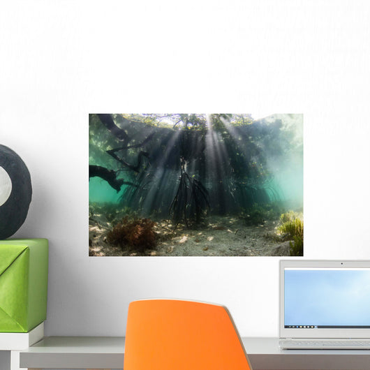 Sunlight Shines into Blue Wall Decal Design 1