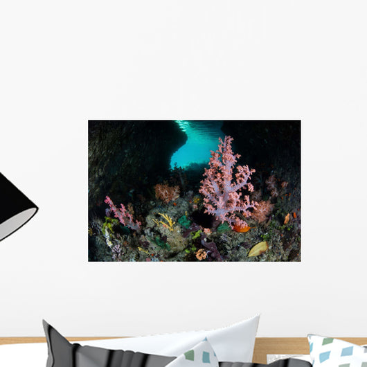 Vibrant Soft Corals and Wall Decal Design 1