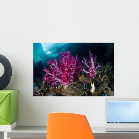 Vibrant Soft Corals Grow Wall Decal Design 5
