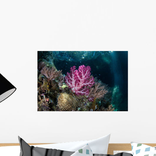 Vibrant Soft Corals Grow Wall Decal Design 4