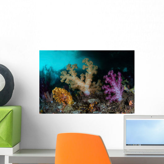 Vibrant Soft Corals Grow Wall Decal Design 3