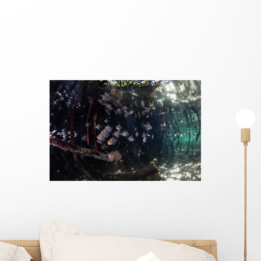 Orbiculate Cardinalfish Swimming Blue Wall Decal